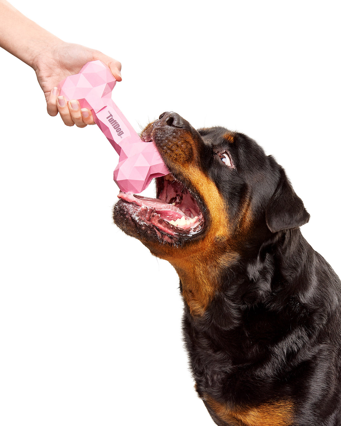 The Tuff Bone: The ultimate toy for strong playful dogs