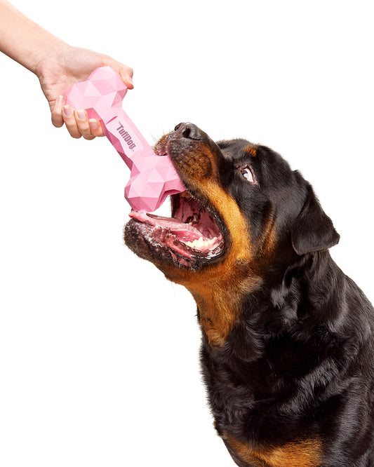 The Tuff Bone: The ultimate toy for strong playful dogs