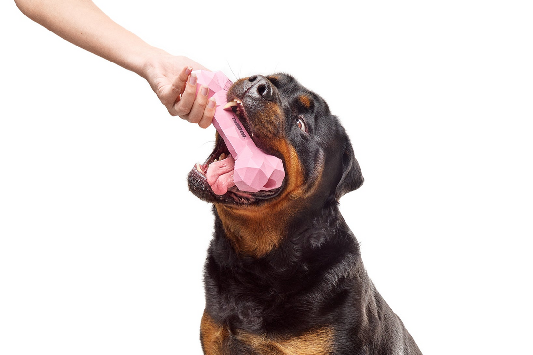 The TuffDog co – The TuffDog co